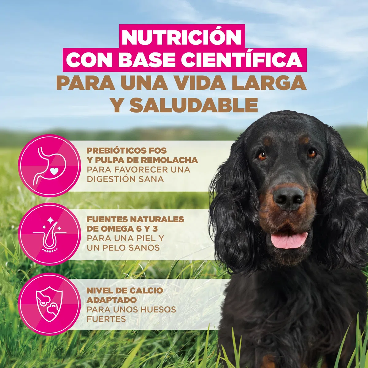 Eukanuba, alimento para Perros sin Cereales con venado, alimento seco Premium sin Cereales para Perros Adultos de Todas Las Razas, 12 kg | Comida seca premium con caza | sin cereales | para perros adultos