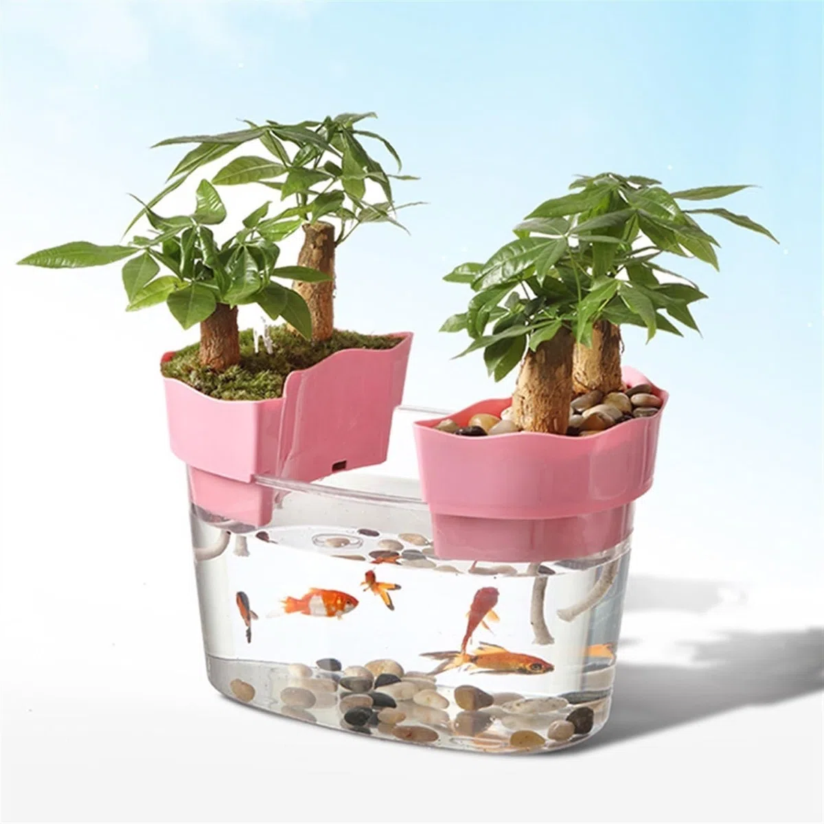Pecera Tanque de Peces acrílico Transparente, Tanque de Tortuga, pequeño Tanque ecológico for acuarios, bonsái, Adornos de Escritorio Acuario(Pequeño)