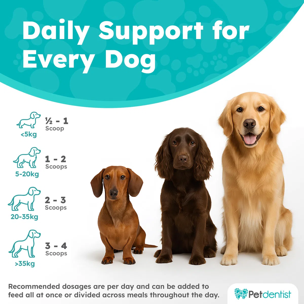 100% natural 500g probióticos con alto contenido de fibra para perros y gatos CoQ10, vitamina C, aminoácidos, minerales, enzimas ideal para la salud dental, cardiaca y digestiva