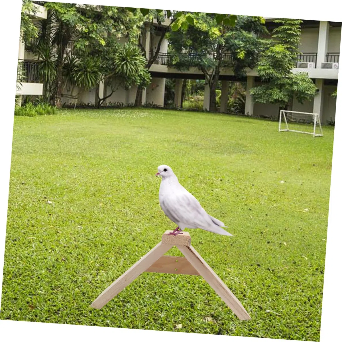 ifundom Soporte De Madera para Aves Multifuncional, Percha Natural De 5 Piezas, Soporte Seguro para Loros y Aves Pequeñas, Adecuado para Suministros De Mascotas y Gallineros