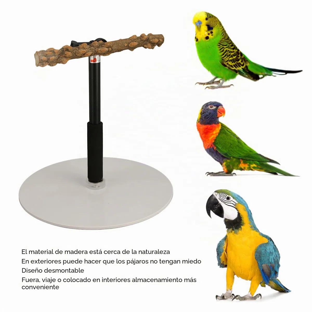 Soporte de Percha de Entrenamiento para Loros, Percha de Pie para Pájaros Desmontable Al Aire Libre con Altura Ajustable de 37 Pulgadas, Base, Soporte de Viaje para Juegos de Pájaros para Conure