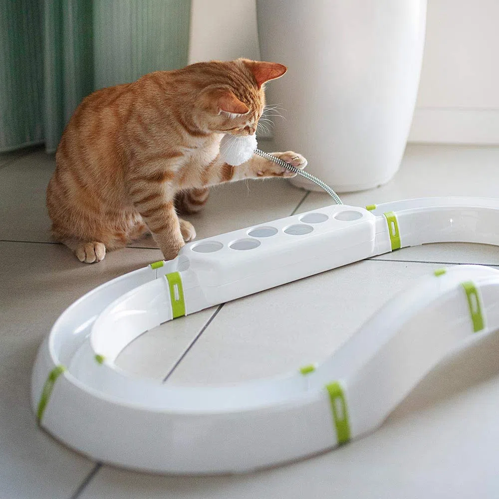 Ferplast Juguete Interactivo para Gatos Labyrinth Circuito Juguete para Gatos con Resorte, Bola Luminosa incluida, 72 x 40 cm