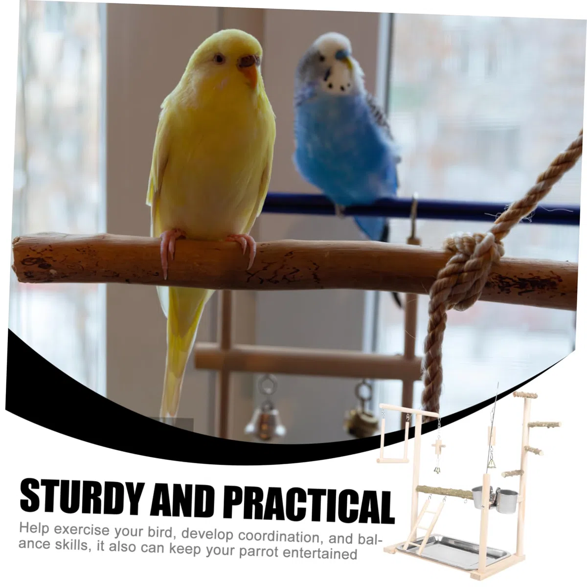 Toddmomy Plataforma de Percha de Madera para Loros Escalera y Columpio, Estante de Entrenamiento para Pájaros, Complementos para Aves, Soporte para Percha de Loro, para Decoración de Jaula