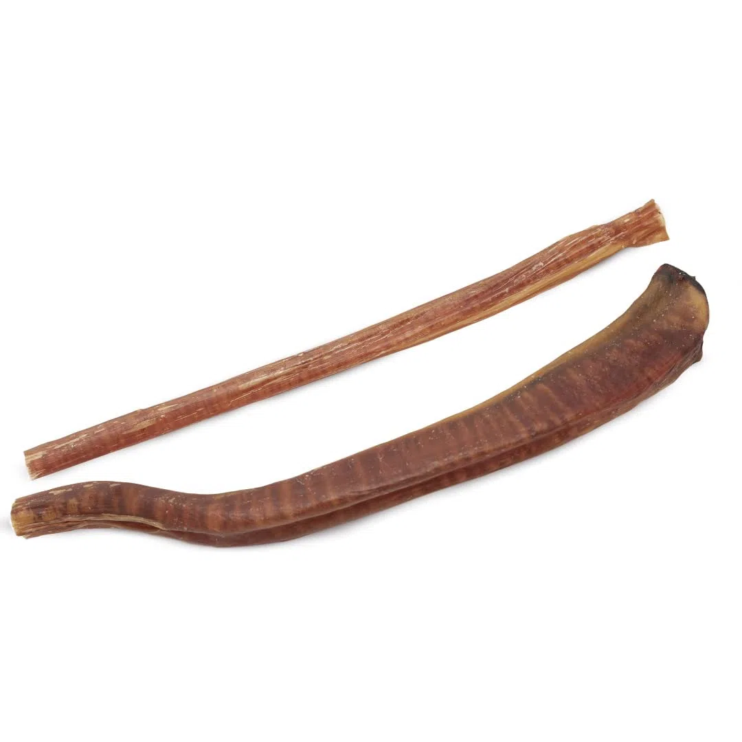 Gespetfood - Nervio de Toro 15" para Perros - Snack Deshidratado para Perros - 11 Unidades - Encías Saludables - 500gr