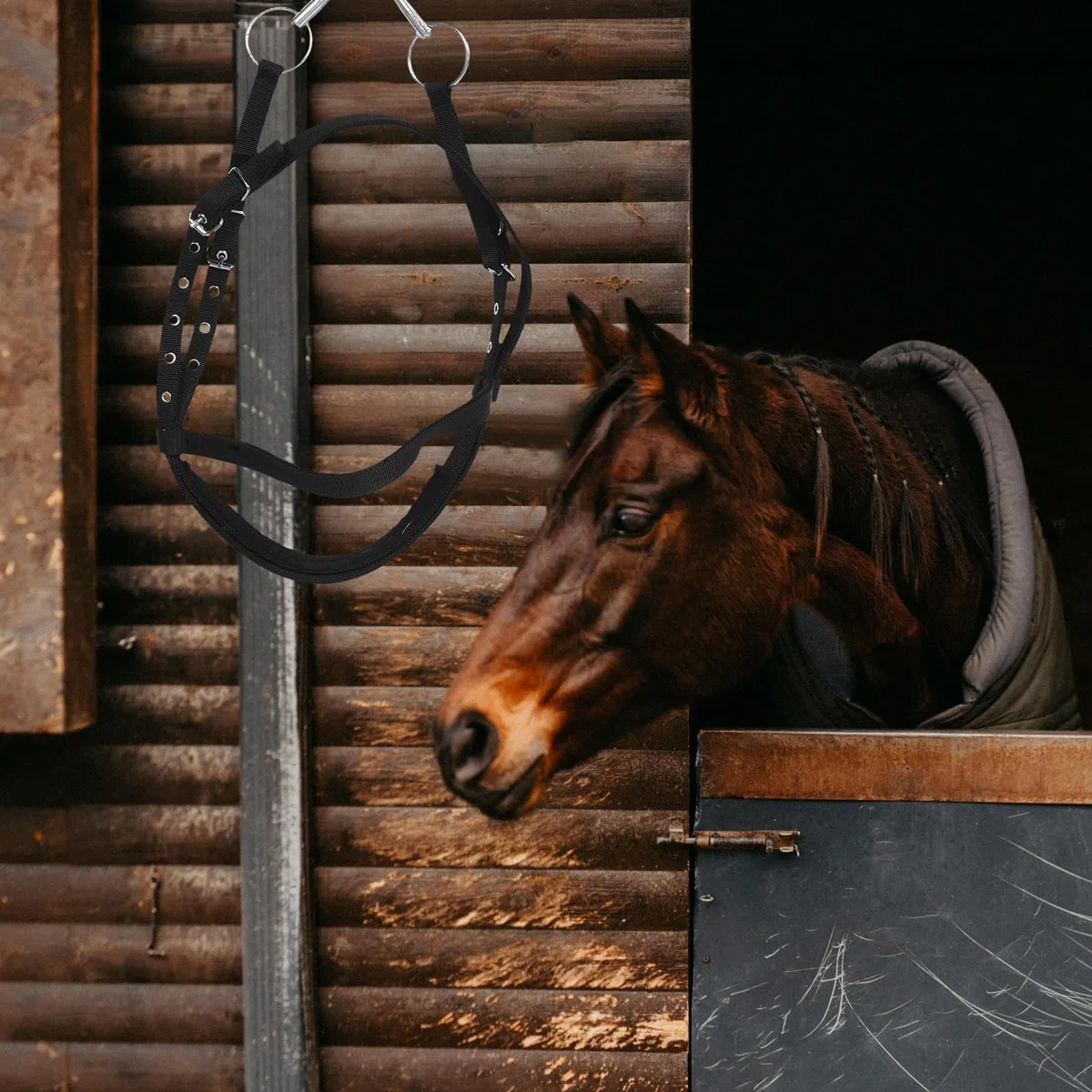 Kisangel Cabestro de Nylon Ajustable para Entrenamiento de Caballos, Suministros para Establos y Equitación en Diferentes Escenarios