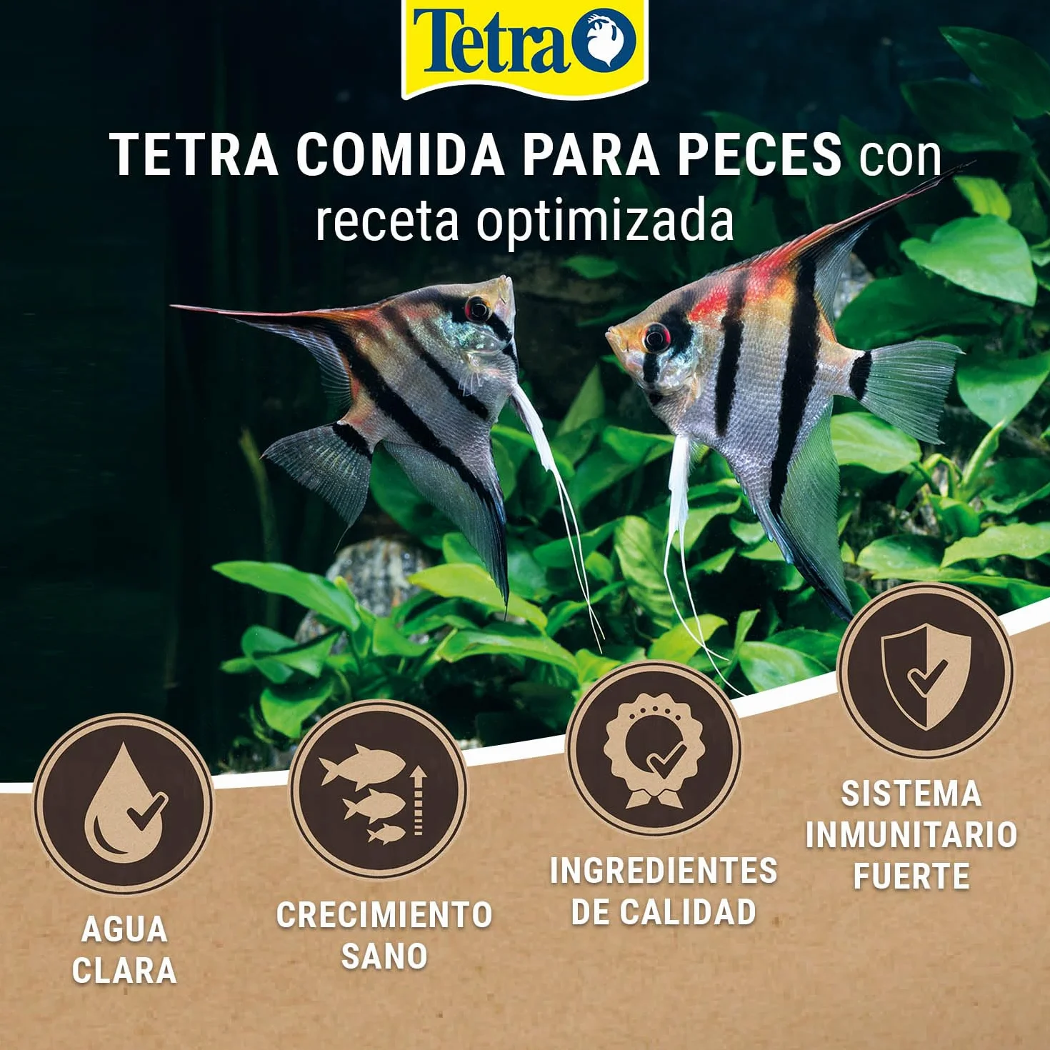 Tetra Phyll Flakes Alimento vegetal para peces ornamentales, 10 L | Ingredientes vegetales | Forma de escamas | El cubo de 10 L
