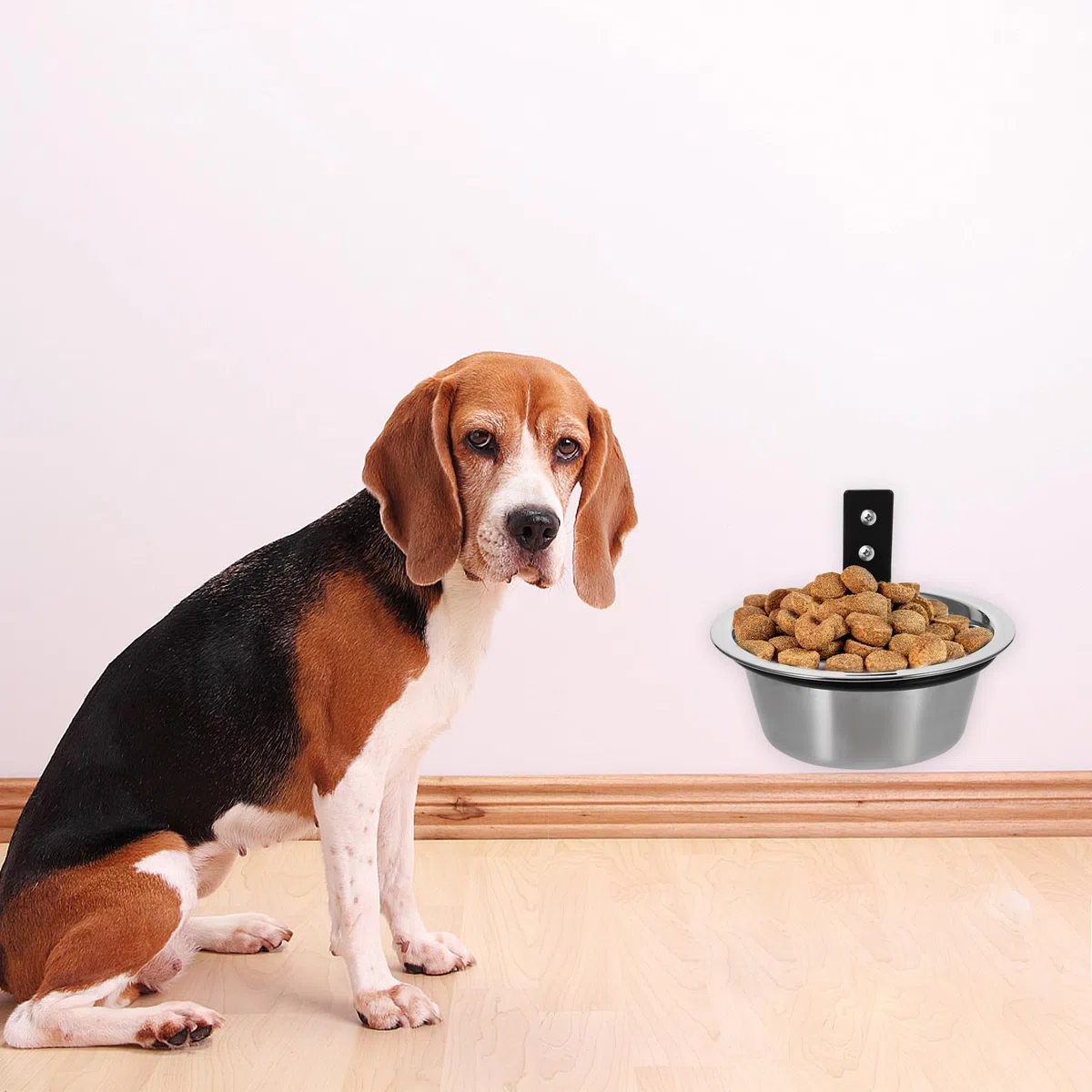 FRCOLOR 2 Juegos Cuenco Elevado para Perros montado en la Pared Accesorio para Mascotas comederos elevados para Gatos Cuencos para Gatos Cuencos para Perros tazón de Gato