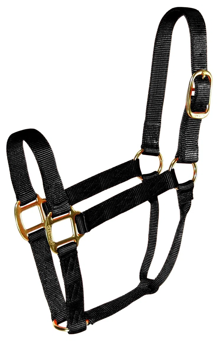 Hamilton Halter Qlty Econo Negro