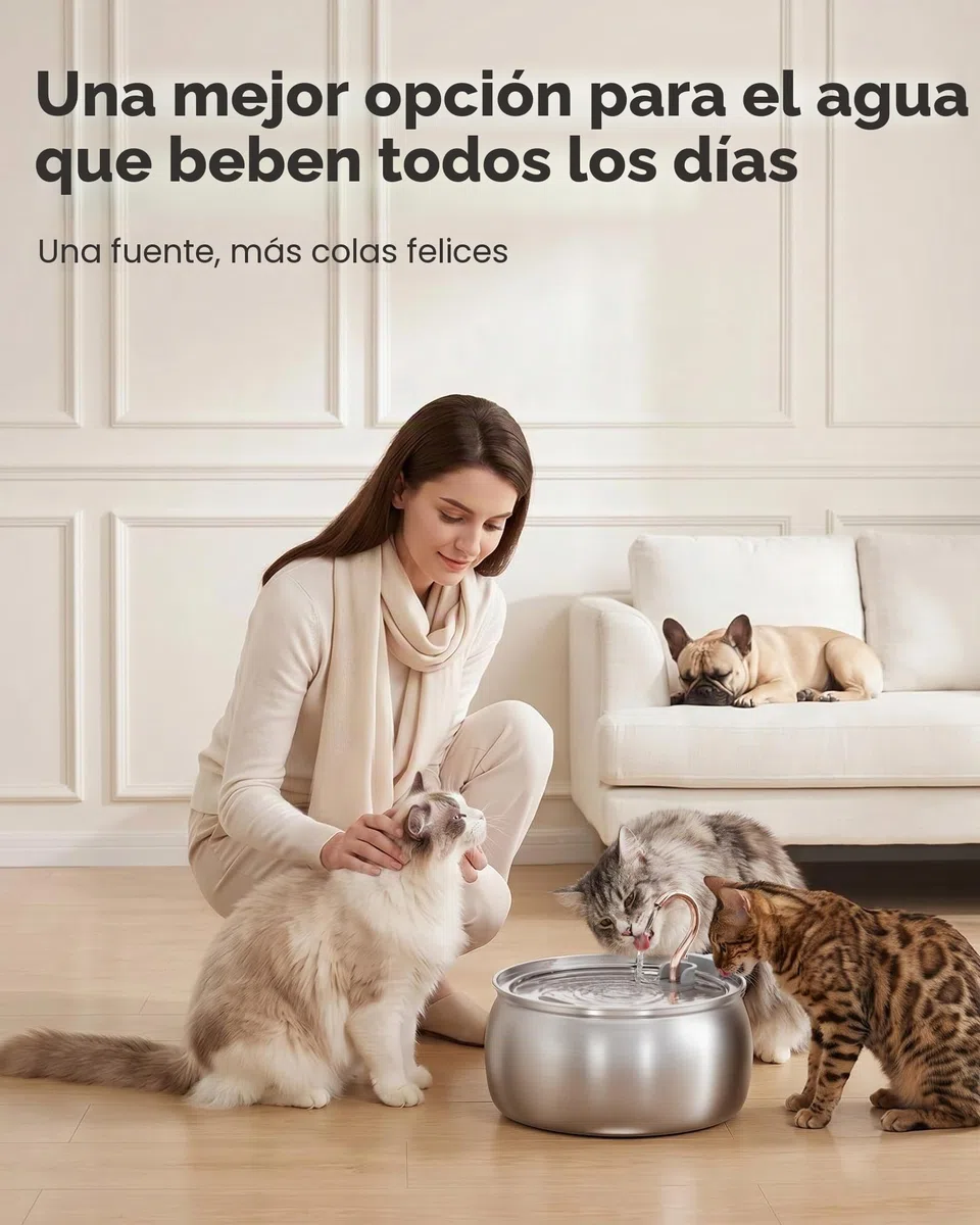 TOMXCUTE Fuente para Gatos Acero Inoxidable (Acero Inoxidable+Latón + plásticos)