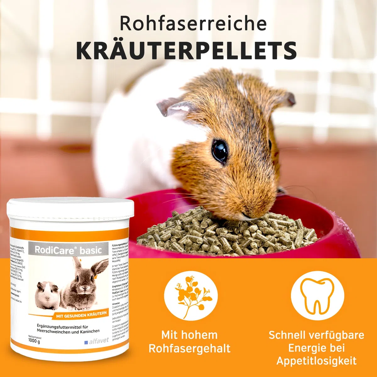 Alfavet RodiCare Basic - 4 kg pellets de Hierbas - alimento suplementario para cobayas y Conejos - Rico en Fibra Bruta