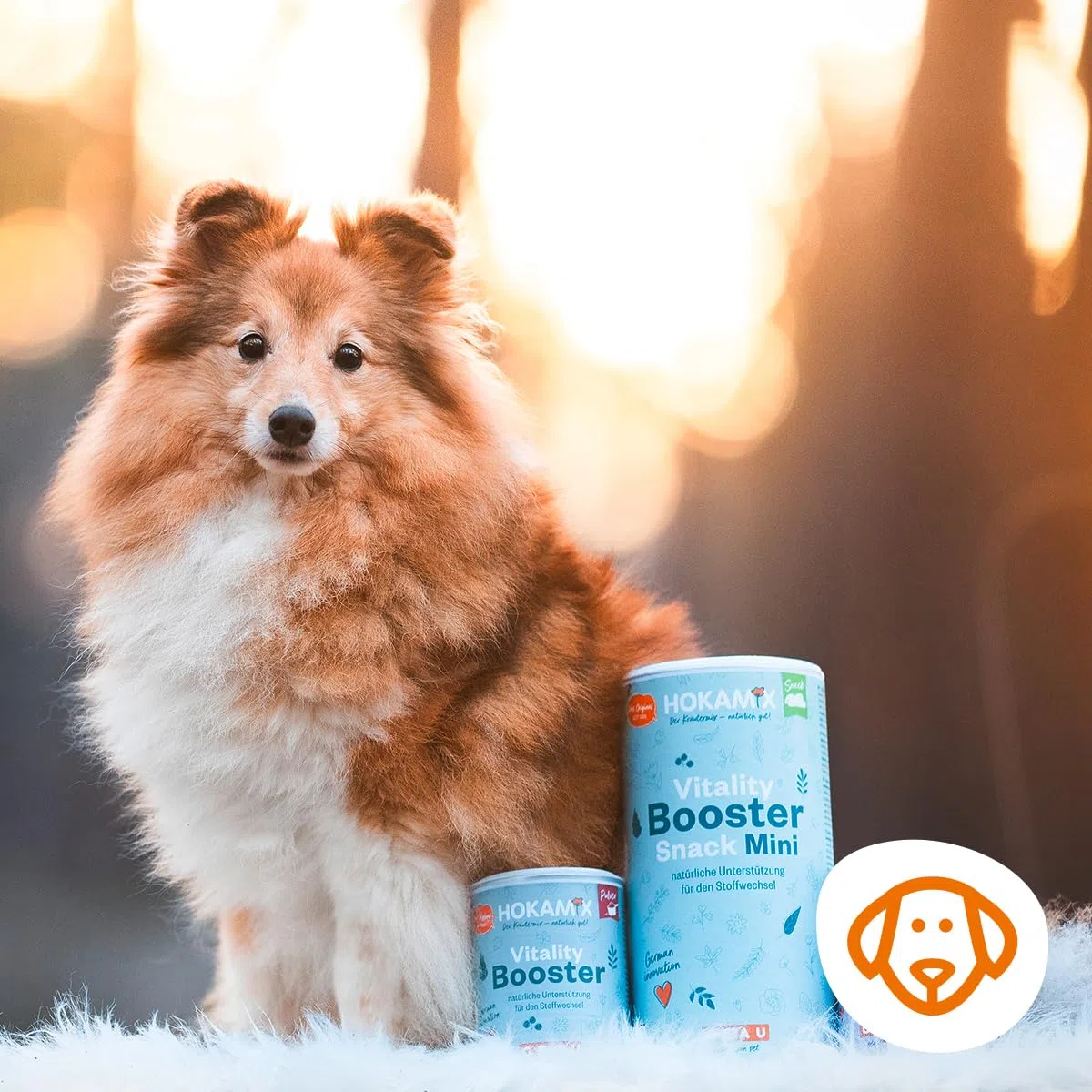 GRAU – el Original – Hokamix Vitality Booster Snack Mini, Paquete de 1 (1 x 4,5 kg), alimento complementario para Perros