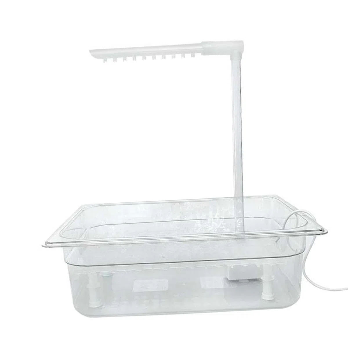 Bañera Automática para Pájaros para Loros, Periquitos Amazónicos Y Loros Africanos.