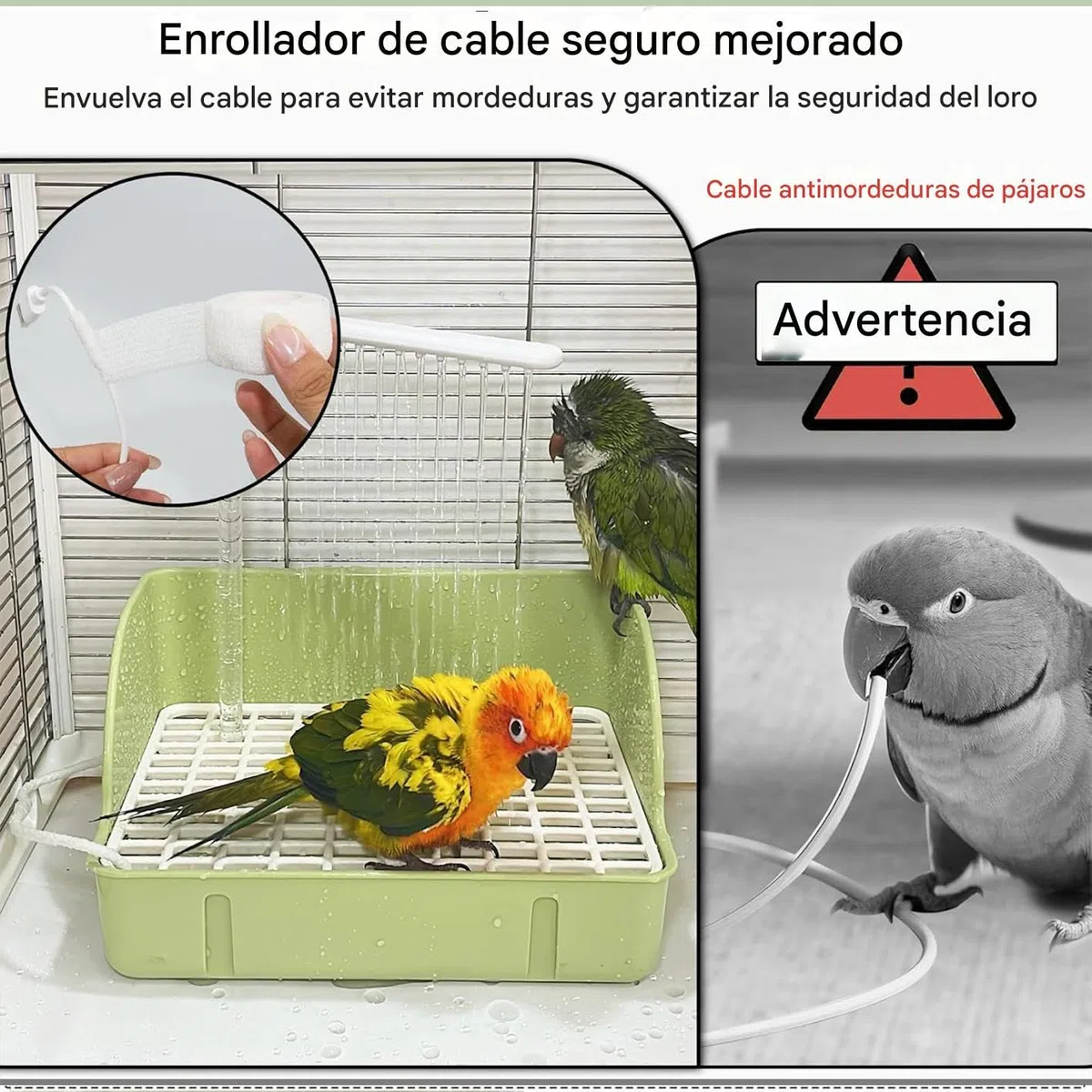 Genérico Bañera para Loros,Fuente de Ducha Circulante para Aves con Bomba | Contenedor Espacioso para Baño De Loros, Accesorio para Cotorras Periquitos Agapornis Cacatúas Guacamayos