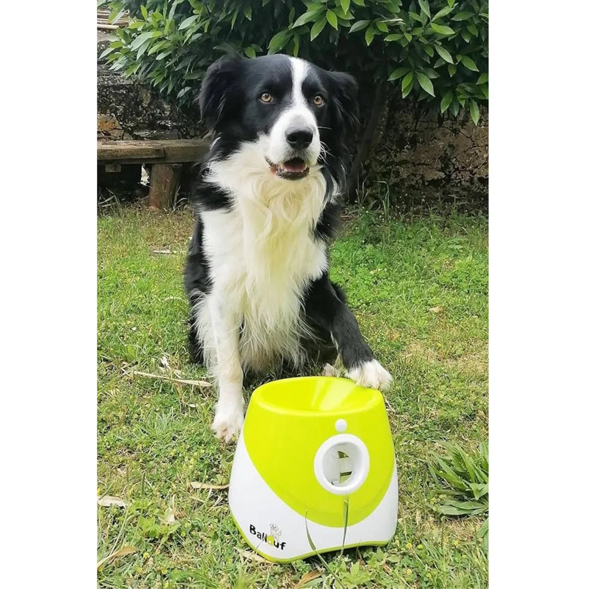Climsom Lanzador Automático de Pelotas para Perros Ballouf Juguete Interactivo con 6 Pelotas - Batería Recargable 5h - 3 Distancias Ajustables - Idea