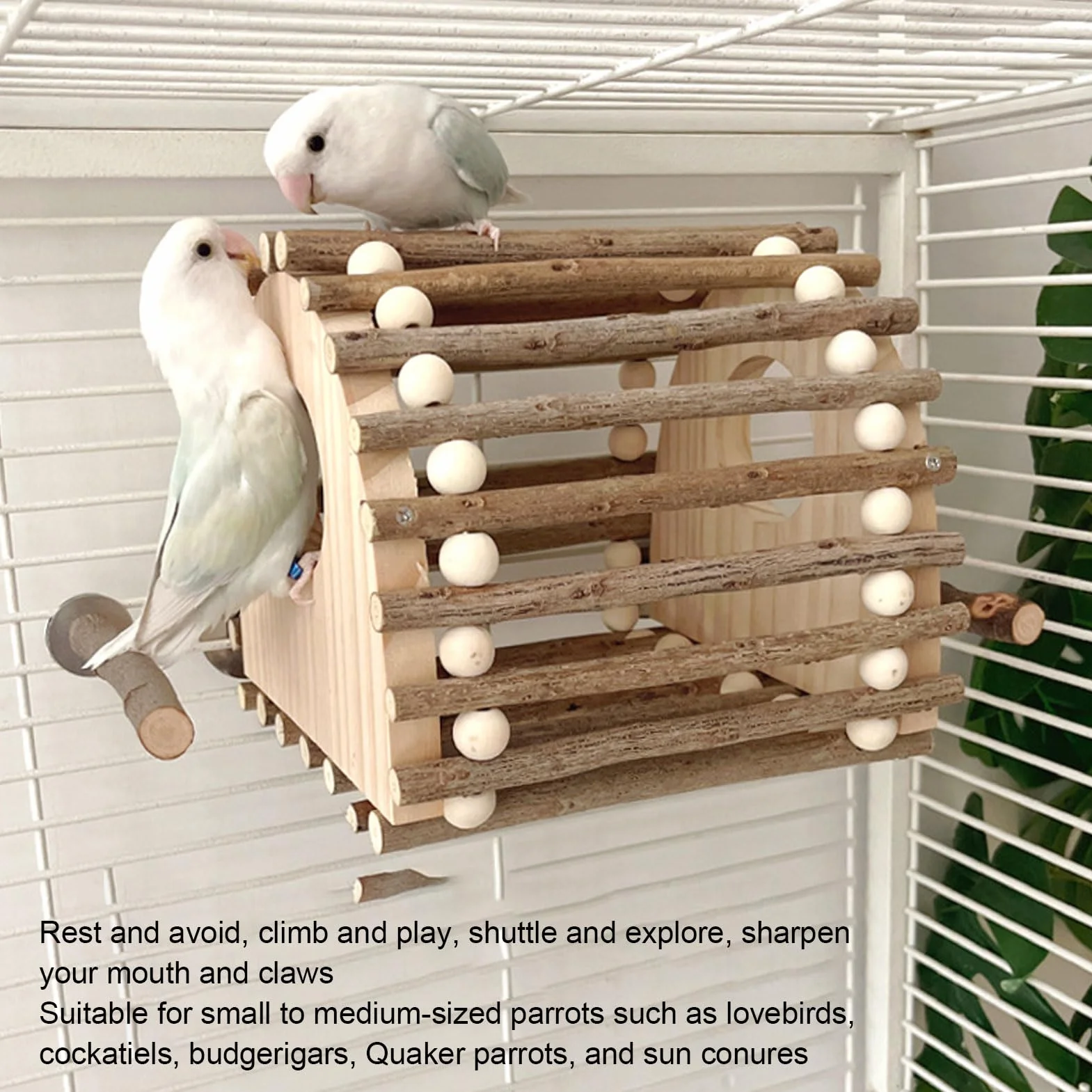 Topiky Innovador Juguete de Madera para Loros, Casa con Escalera de Escalada con Diseño de Doble Agujero para Juego Activo, para Entusiastas de Las Aves