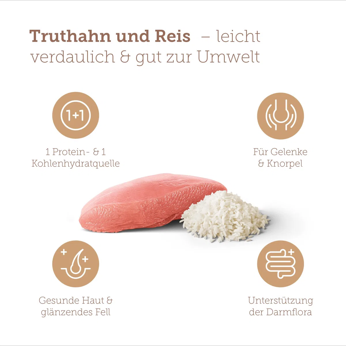 MERA Pure Sensitive Junior con Pavo y arroz (12,5 kg), Comida para Cachorros de fácil digestión para Perros jóvenes de Razas Grandes a Partir del 6º Mes
