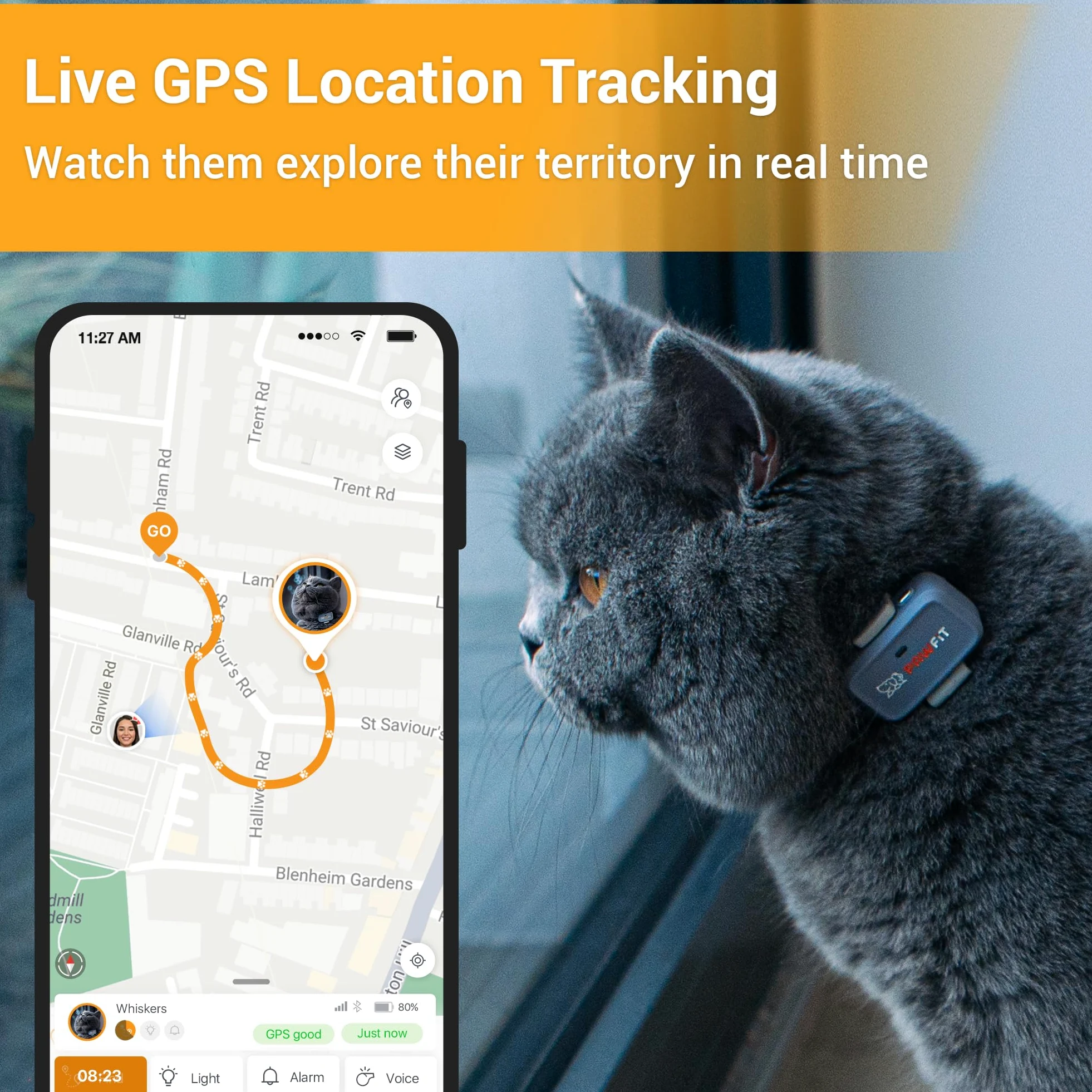 Pawfit Lite for Cats - Rastreador GPS 4g | Seguimiento en tiempo real | Monitoreo de actividad | Historial de ubicaciones | Alcance ilimitado | Collar de seguridad incluido | Simplemente blanco