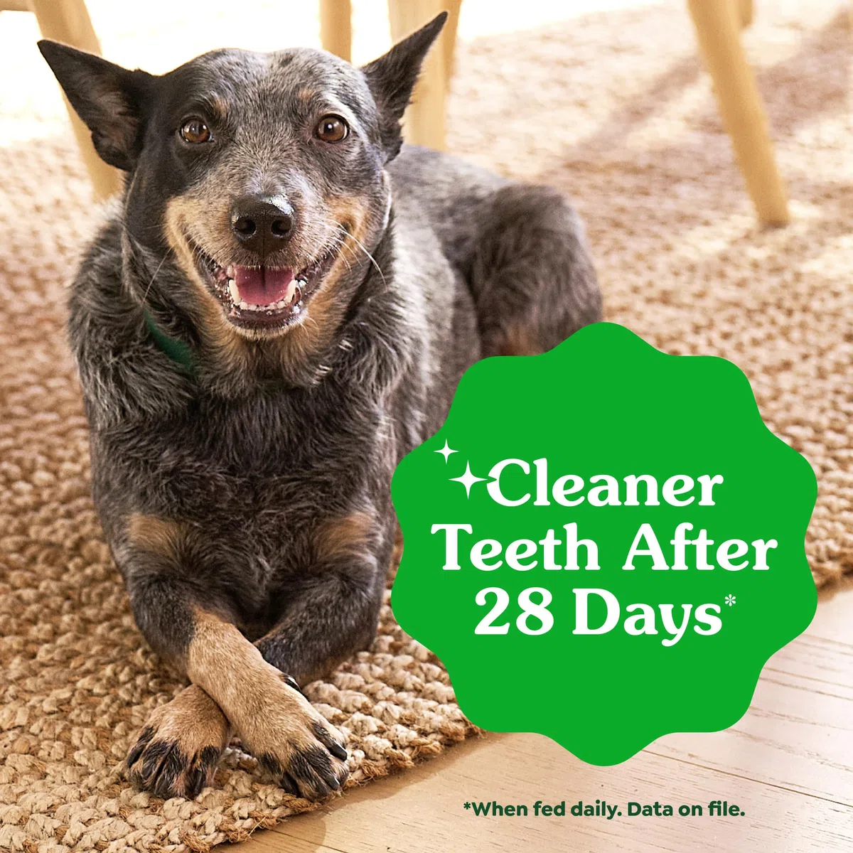 Greenies Golosinas dentales para Perros