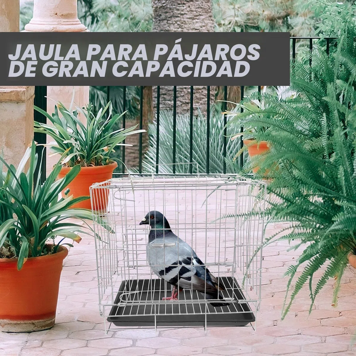 Jaula de Cría para Palomas de Gran Capacidad 35x25x30 Cm, Acero Inoxidable Bandeja Extraíble, Jaula Espaciosa para Pájaros Domésticos y Suministros para Aves