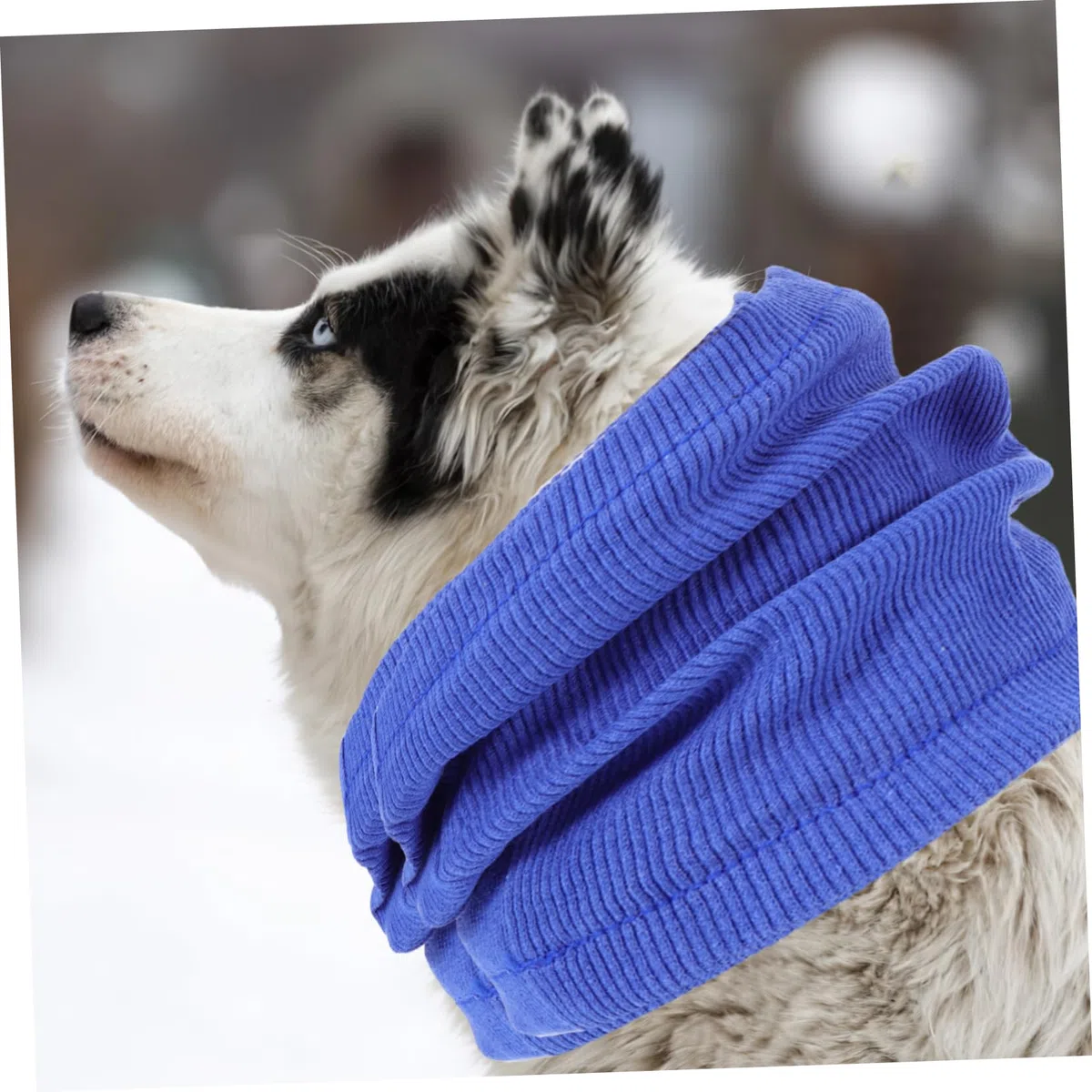 5 Protectores De Orejas Suaves con Cancelación De Ruido para Perros Y Mascotas.