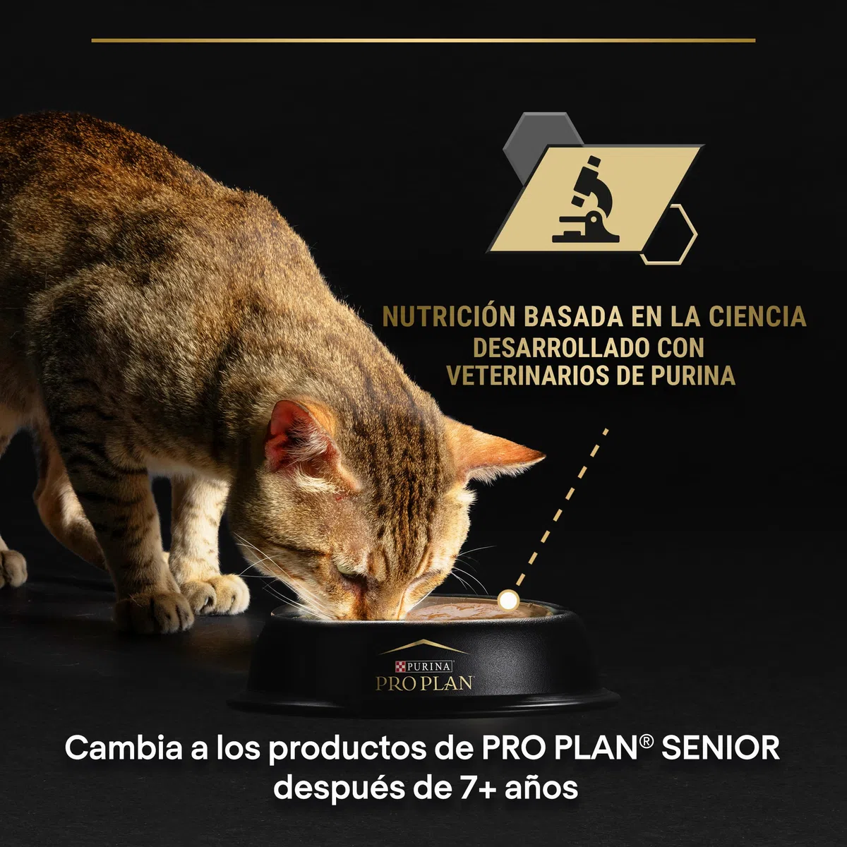 Purina Pro Plan Comida Húmeda para Gato Esterilizado Adulto Pack surtido, 4 packs de 10 sobres de 85g