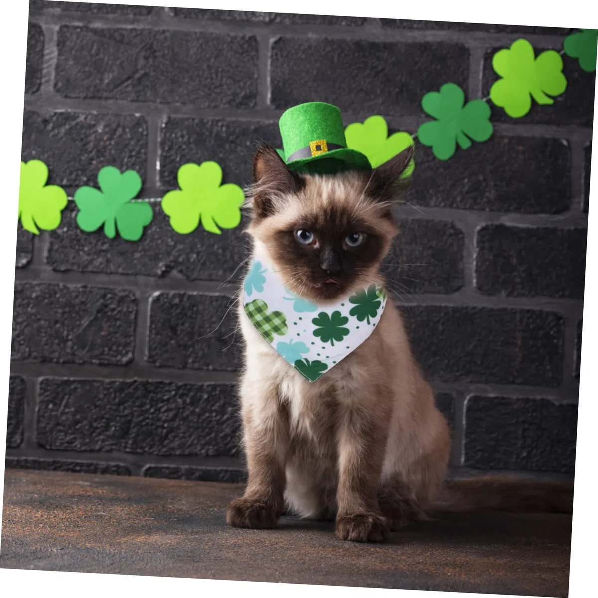 INOOMP 12piezas Bandanas para Bufandas para y Gatos Accesorios para Celebraciones y