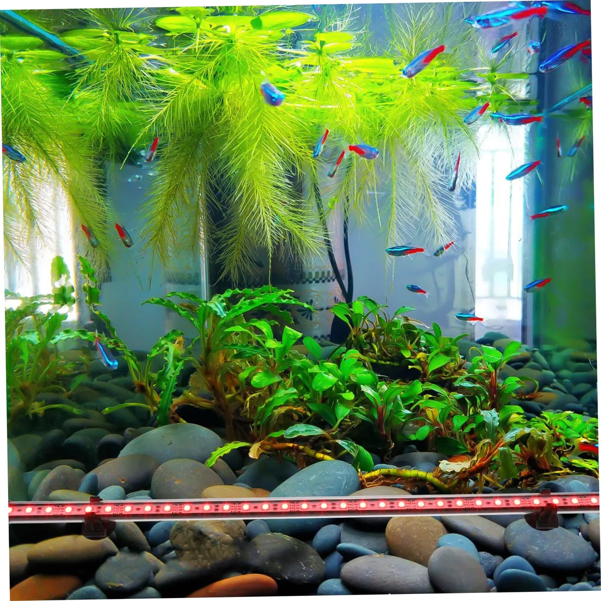 FOMIYES Luz Led Submarina Para Acuarios Lámpara Decorativa De Paisajismo Acuático Rgb Control Remoto Para Peceras De Agua Dulce y Salada
