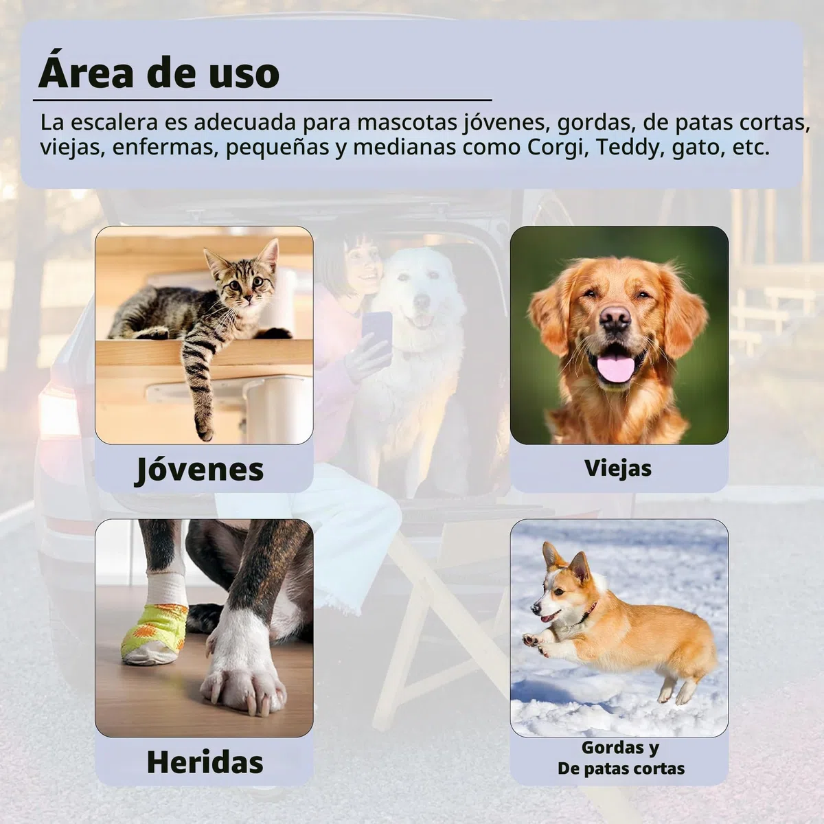 UISEBRT Escalera plegable para perros, 2 en 1, escalera para mascotas, de madera, con inserto antideslizante, para mascotas de hasta 80 kg