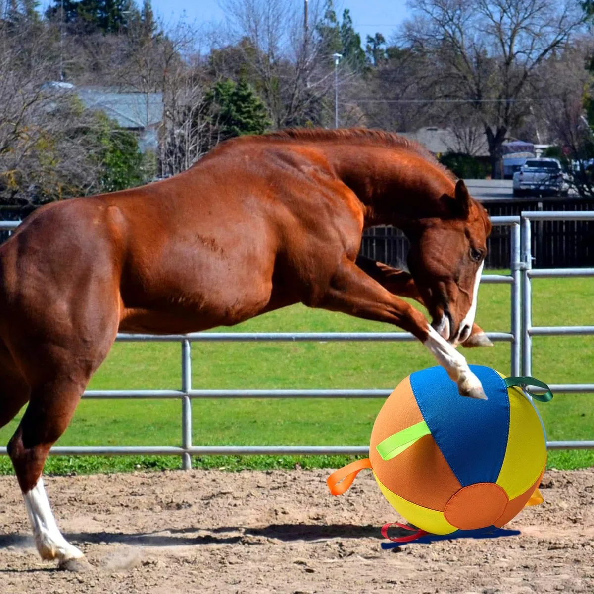 Pelotas De Pastoreo Para Perros Juguete Acuático Hinchable Gigante Flotante | Juguetes Interactivos Para Perros Pastores para Razas Medianas y Grandes Parque Piscina Jardín Exterior