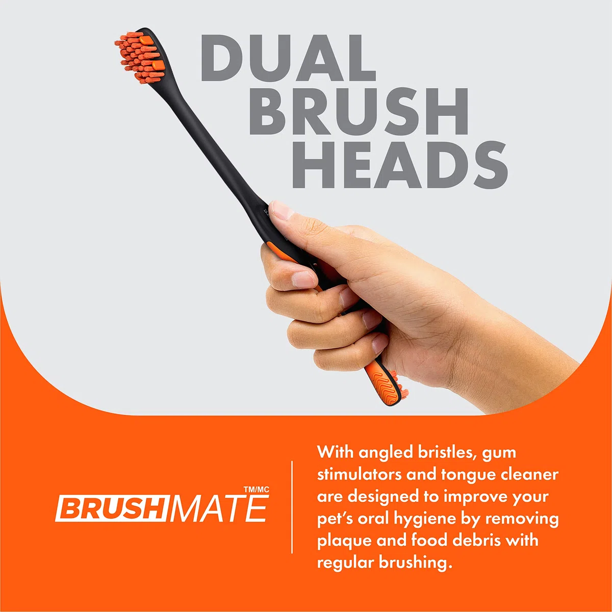 BrushMate Paquete combinado de cepillo de dientes para mascotas y BiteBlock para perros y gatos (mediano, naranja)