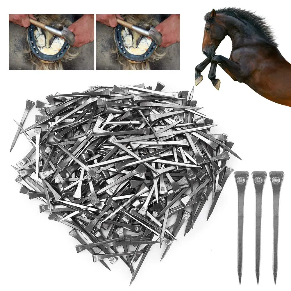 250 Clavos de Herradura, Clavijas de Pezuña de 5,4 Cm para Asegurar Firmemente Al Caballo con una Fabricación Precisa