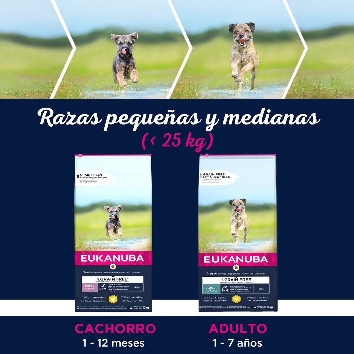 EUKANUBA Grain Free, Alimento para Cachorros de Razas Pequeñas y Medianas, Rico en Pollo, 12kg