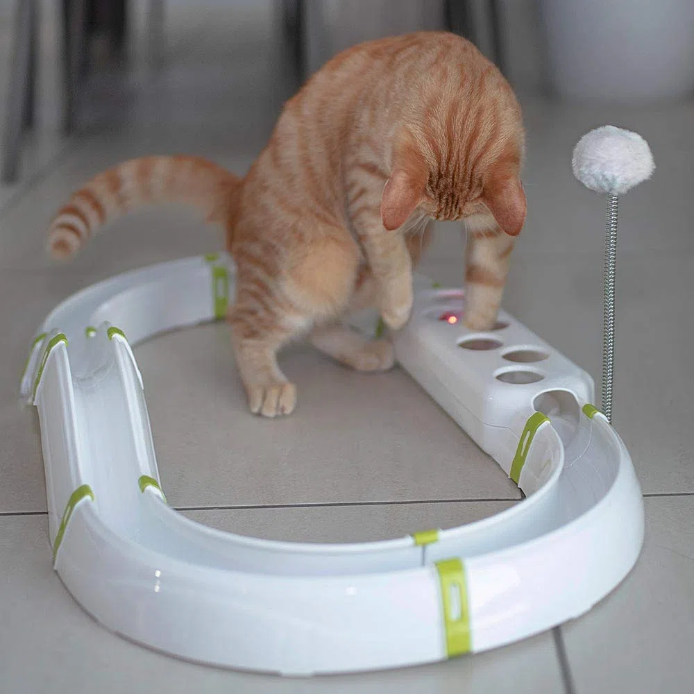 Ferplast Juguete Interactivo para Gatos Labyrinth Circuito Juguete para Gatos con Resorte, Bola Luminosa incluida, 72 x 40 cm