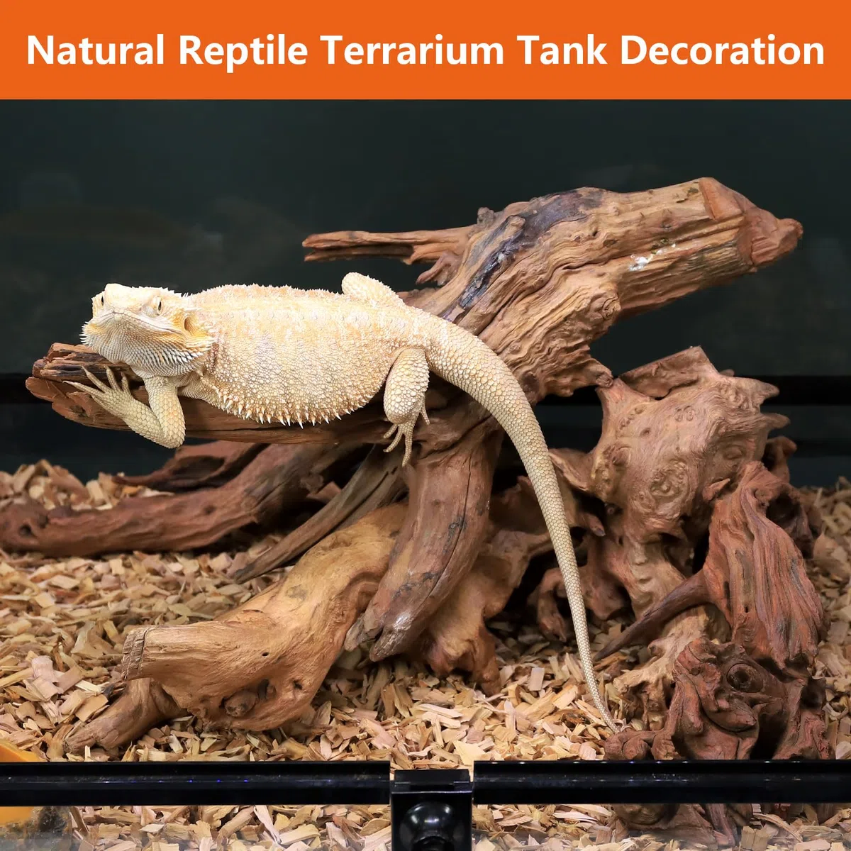 Madera flotante para acuario, madera de deriva para pecera: madera flotante de agua dulce, reptil, reptil, tronco, serpiente, accesorios de escalada, decoración de terrario para leopardo,