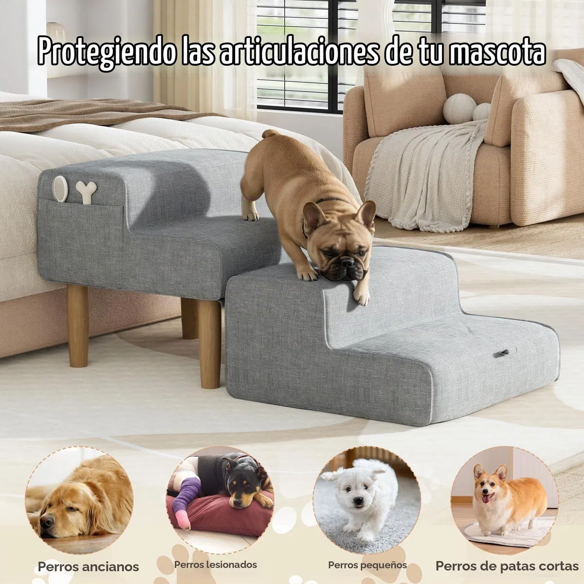 Escalera para Perros de 4 Peldaños, 2 en 1 Rampa para Perros Plegable, Escalera Perro Antideslizante – Escalones o Taburetes, para Sofá y Cama, Cachorros Pequeños y Grandes, Gris