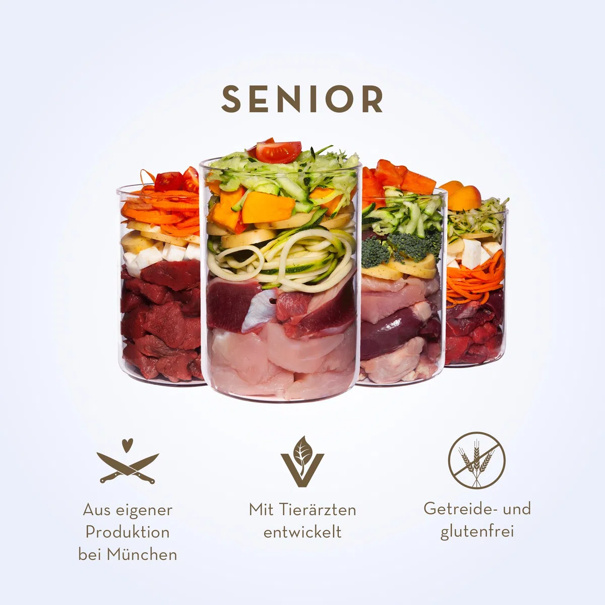 Terra Canis Venado con Tomate, Comida húmeda Senior para Perros, 12x400g | 100% calidad alimentaria de todas las materias primas, con hierbas medicinales, receta adaptada a la edad, bajo en cereales