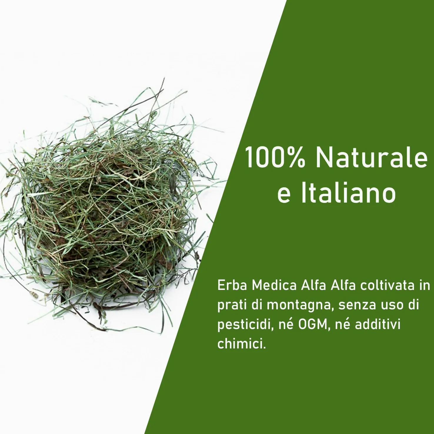 Hierba médica (alfalfa) 20 kg | Heno natural de alfalfa | Rico en fibra, proteínas y calcio | Ideal para conejos, cobayas, pequeños roedores y caballos | Crecimiento, gestación, apetecibilidad