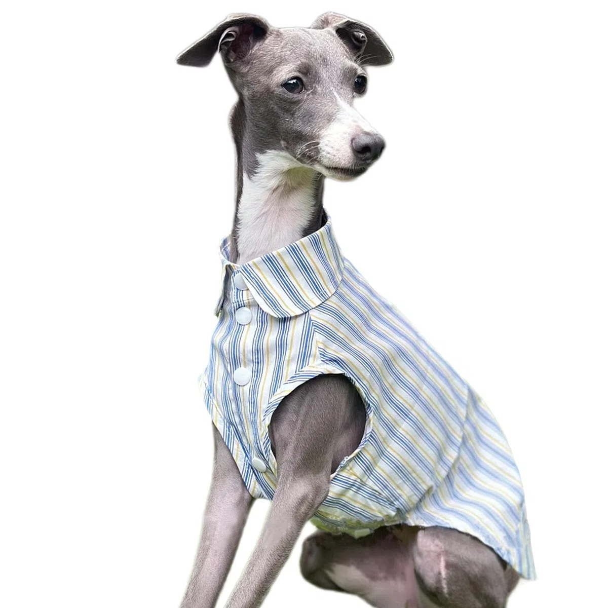 Camiseta De Perro Camisas Clásicas De Rayas para Pequeños Perros Grandes Grandes Perros Transpirables Ropa De Camiseta con Botón ¡Lindos Trajes De Verano para Italiano Greyhound Whippet