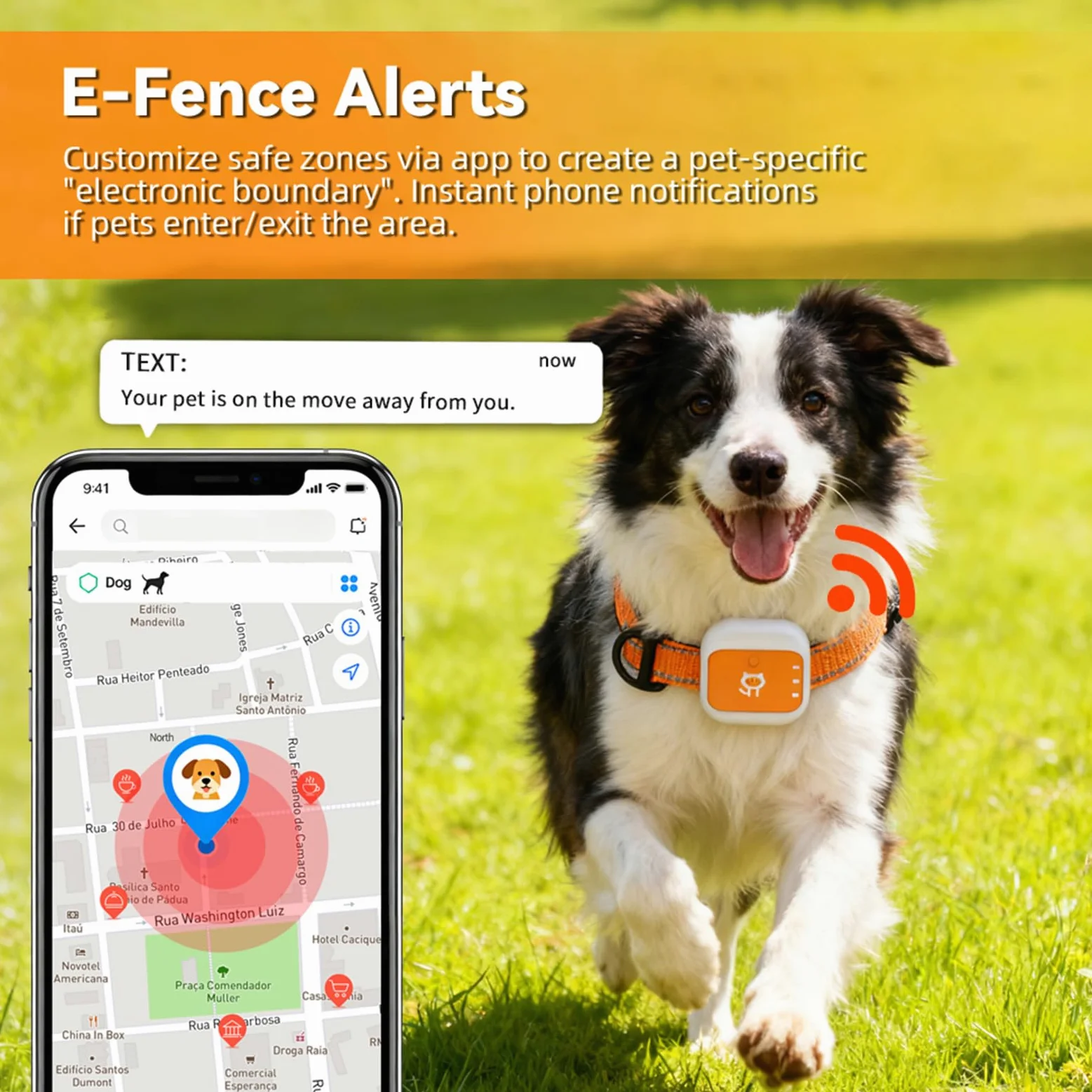 Tangxi Rastreador GPS para Mascotas, Localización en Tiempo Real con Alerta SOS, Cerca Electrónica, Dispositivo de Monitoreo de Collar Antipérdida a Prueba de Agua para Perros, Ga (Versión Eurasia