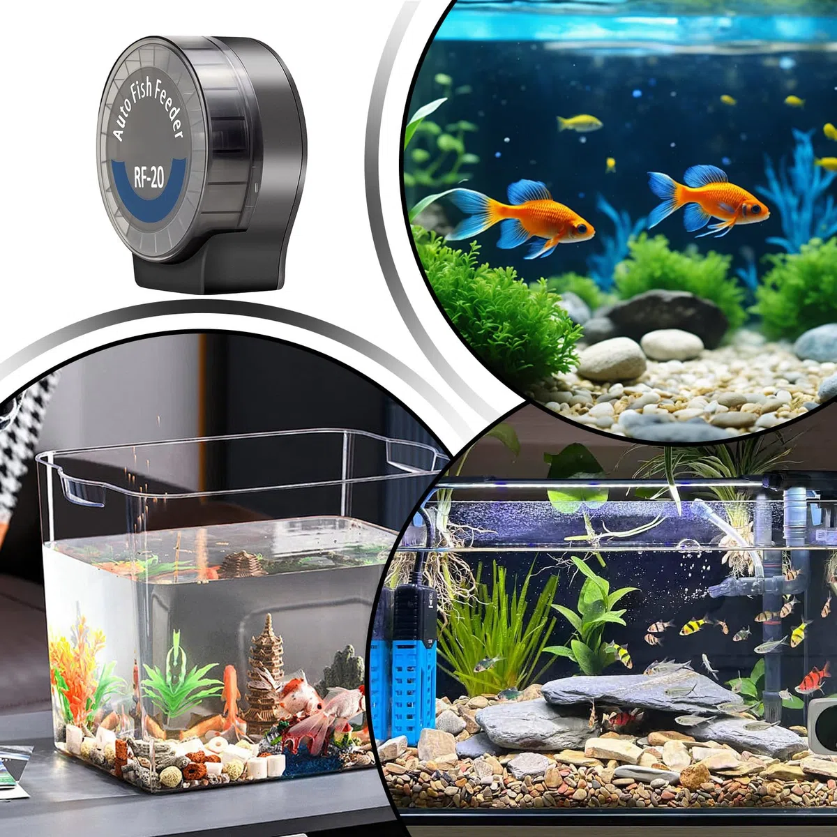 Alimentador Automático para Acuario Dispensador Automático de Alimento para