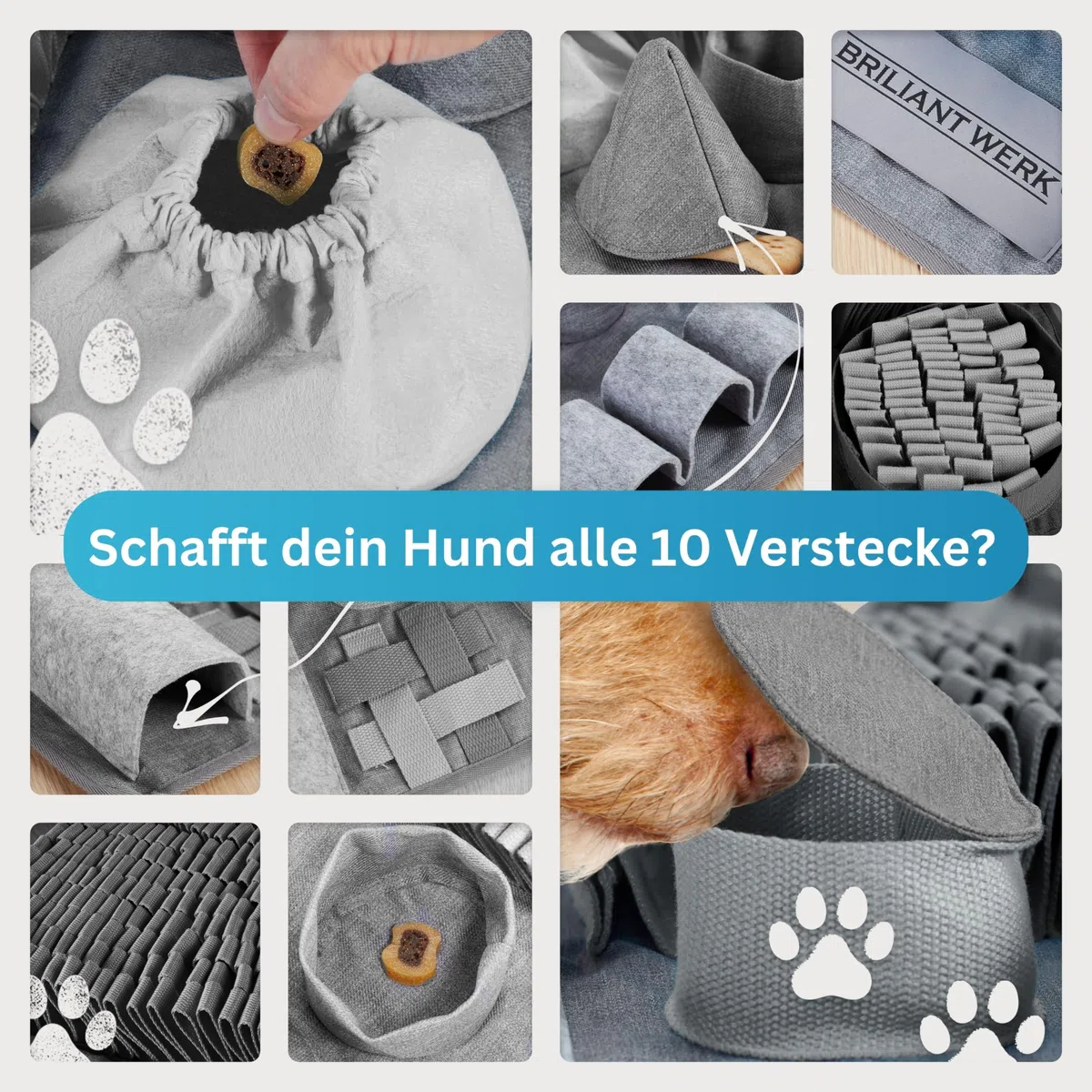 Briliantwerk ️ Alfombra para olfatear perro – Material extremadamente resistente – 10 elementos de entrenamiento y 3 niveles de dificultad – El juguete de inteligencia para perros de todos los tamaños