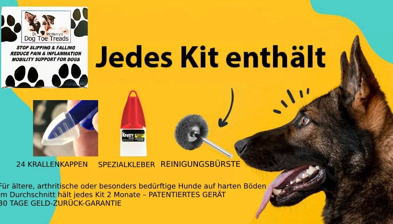 Dr. McHenry's Dog Toe Treads, Juego de 24 piezas con adhesivo y cepillo de limpieza, mayor tracción y estabilidad en suelos resbaladizos, tracción y movilidad para perros mayores (XXL)