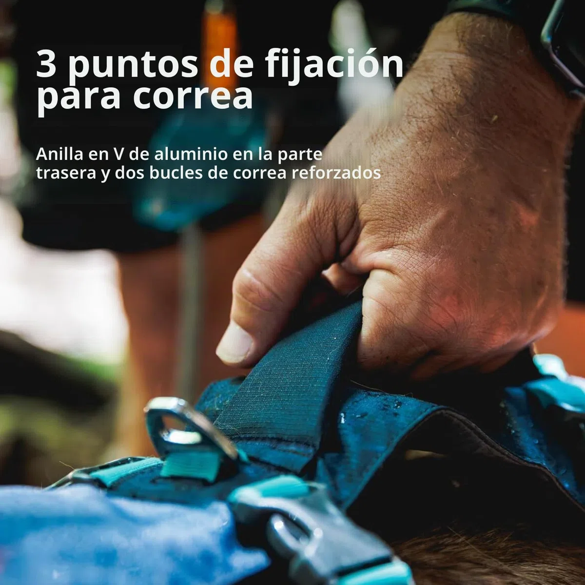 RUFFWEAR Arnés para Perro con asa, Flagline, Multiusos, Ligero, Ajustable, cómodo, para Caminar, 3 Puntos de fijación de Plomo, Correa Reforzada y Anillo en V de Metal Fuerte