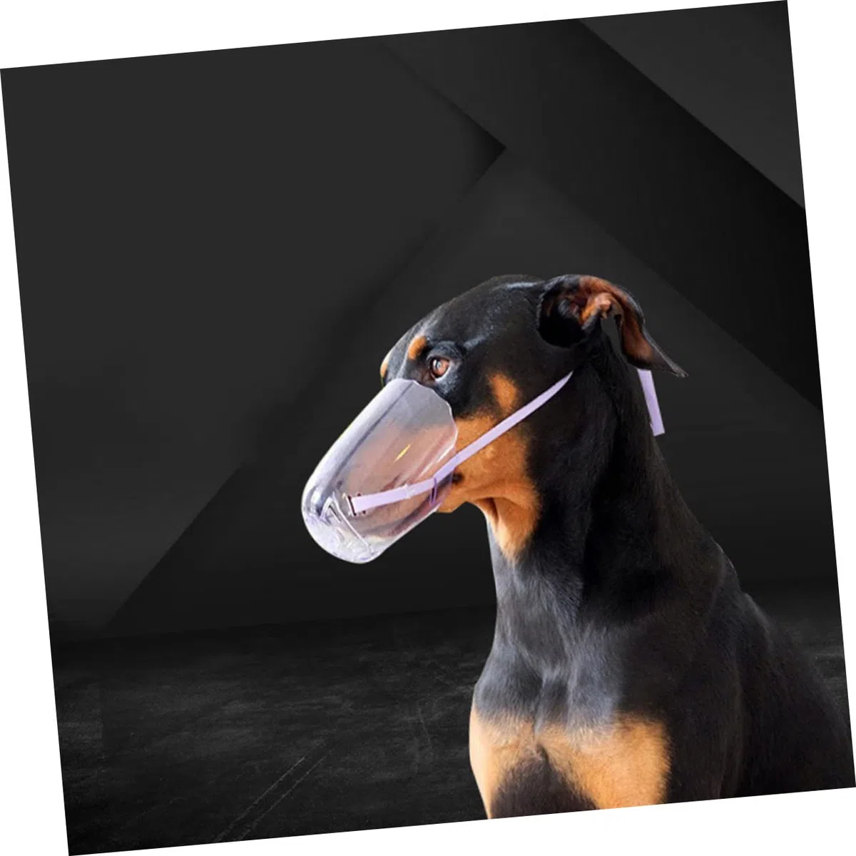 INOOMP 5piezas Bozal para Gato De Seguridad para Muzzle Antimordeduras y Antiladridos para Paseos y Cuidado Material Resistente y Transpirable Mediano