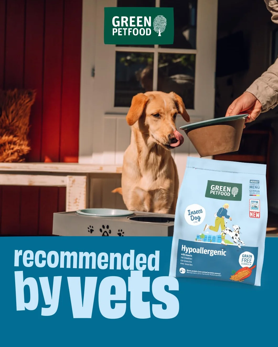 Green Petfood InsectDog Hypoallergen con insectos (1 x 10 kg) | Adulto | alimento seco premium para perros adultos alérgicos | sin cereales | alimento sostenible para perros | calidad alemana | 1 pack