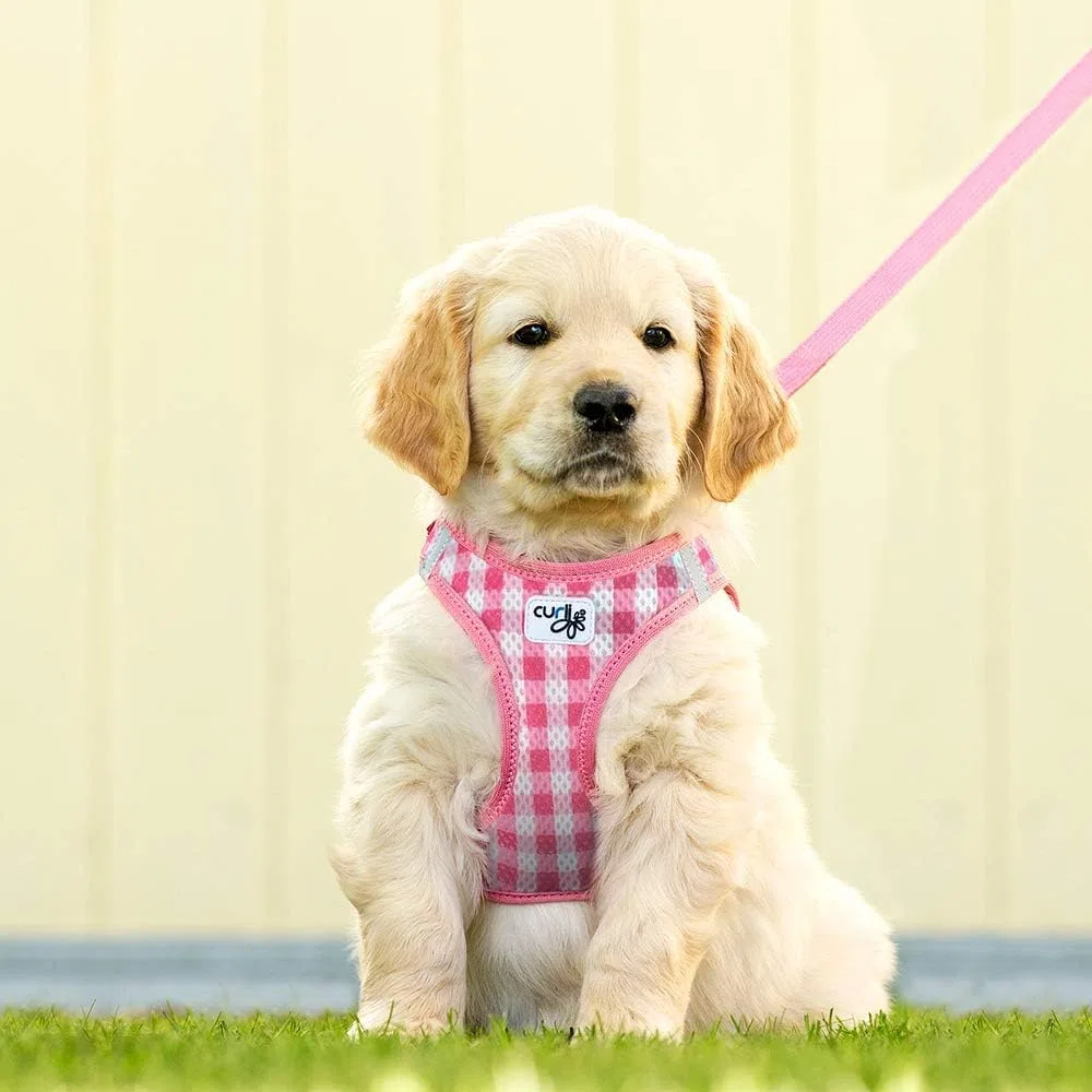 Vest Harness Air-Mesh Pink-Caro 2XS & Leash M