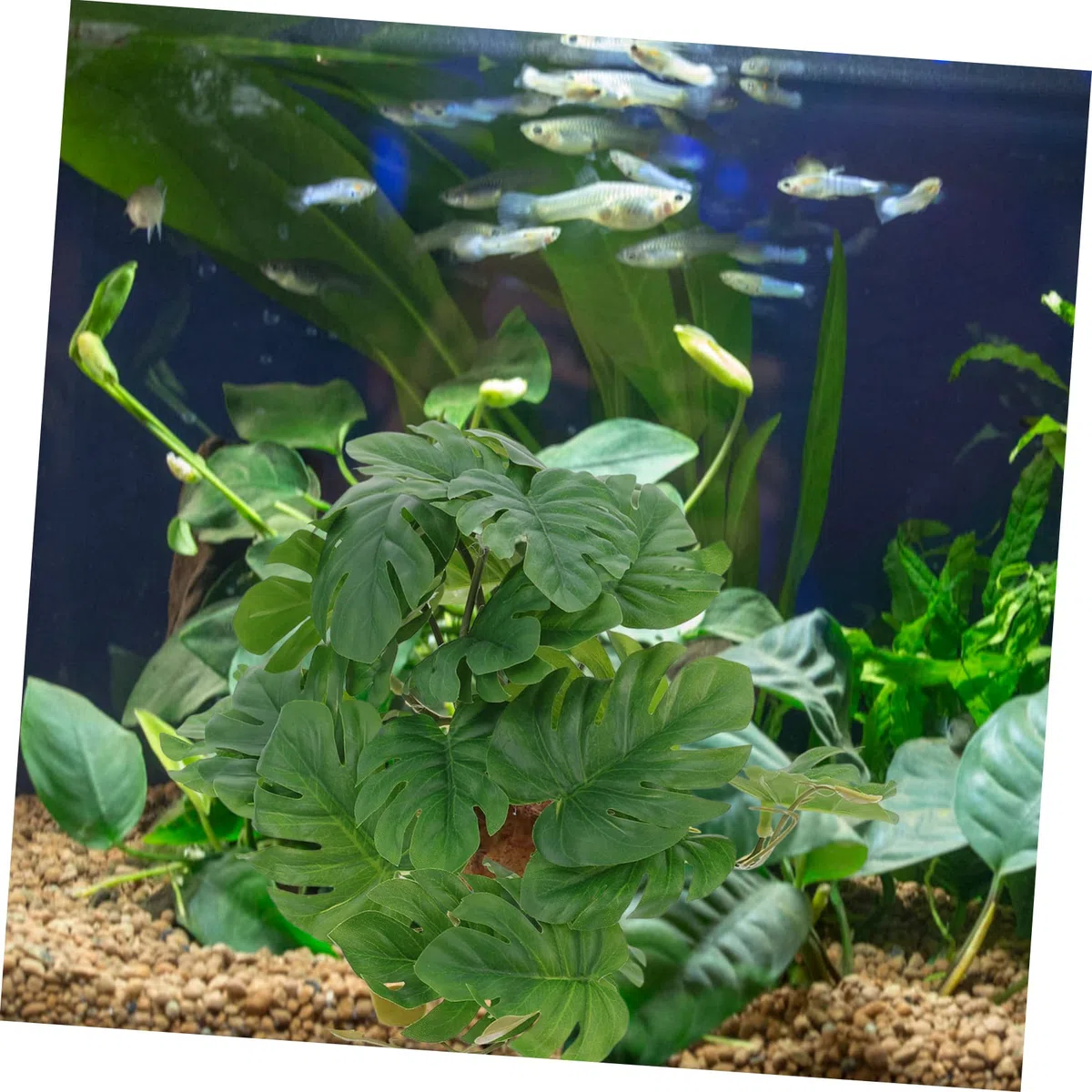 DOITOOL 3piezas Artificial De para Terrario Decoración De Paisaje Natural Simulación De Flora para Caja De Reptiles Accesorio Lifelike para y Anfibios