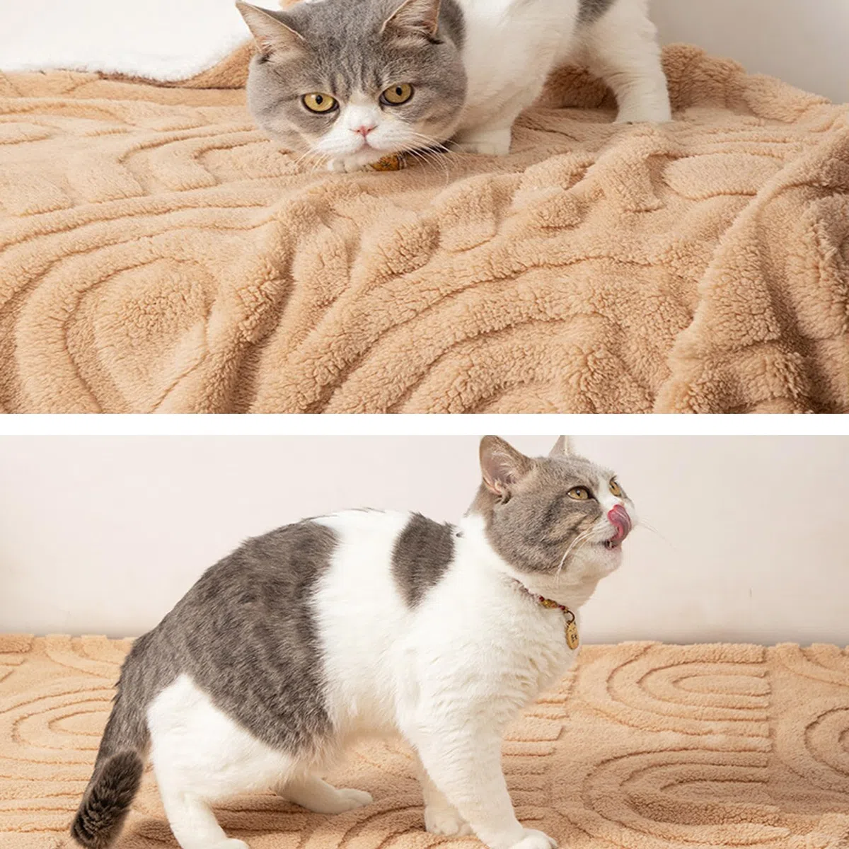 Paquete de 2 mantas grandes para perros, mantas lavables para perros y gatos pequeños y medianos, mantas calmantes para mascotas, para sofá, cama, automóvil, manta cálida para gatos, manta