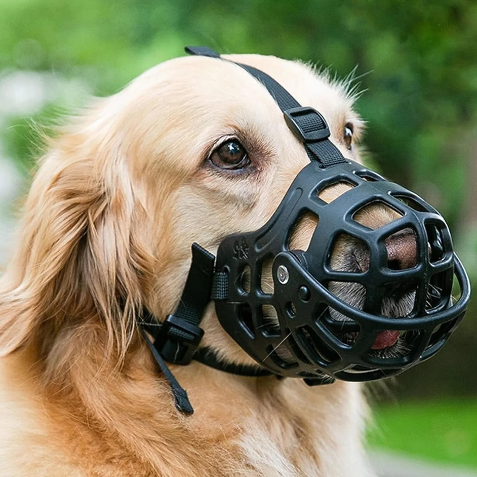 Bozales para Perros, Se Puede controlar Comer y Beber, for pequeños Grandes, Transpirable Ajustable(2XL)
