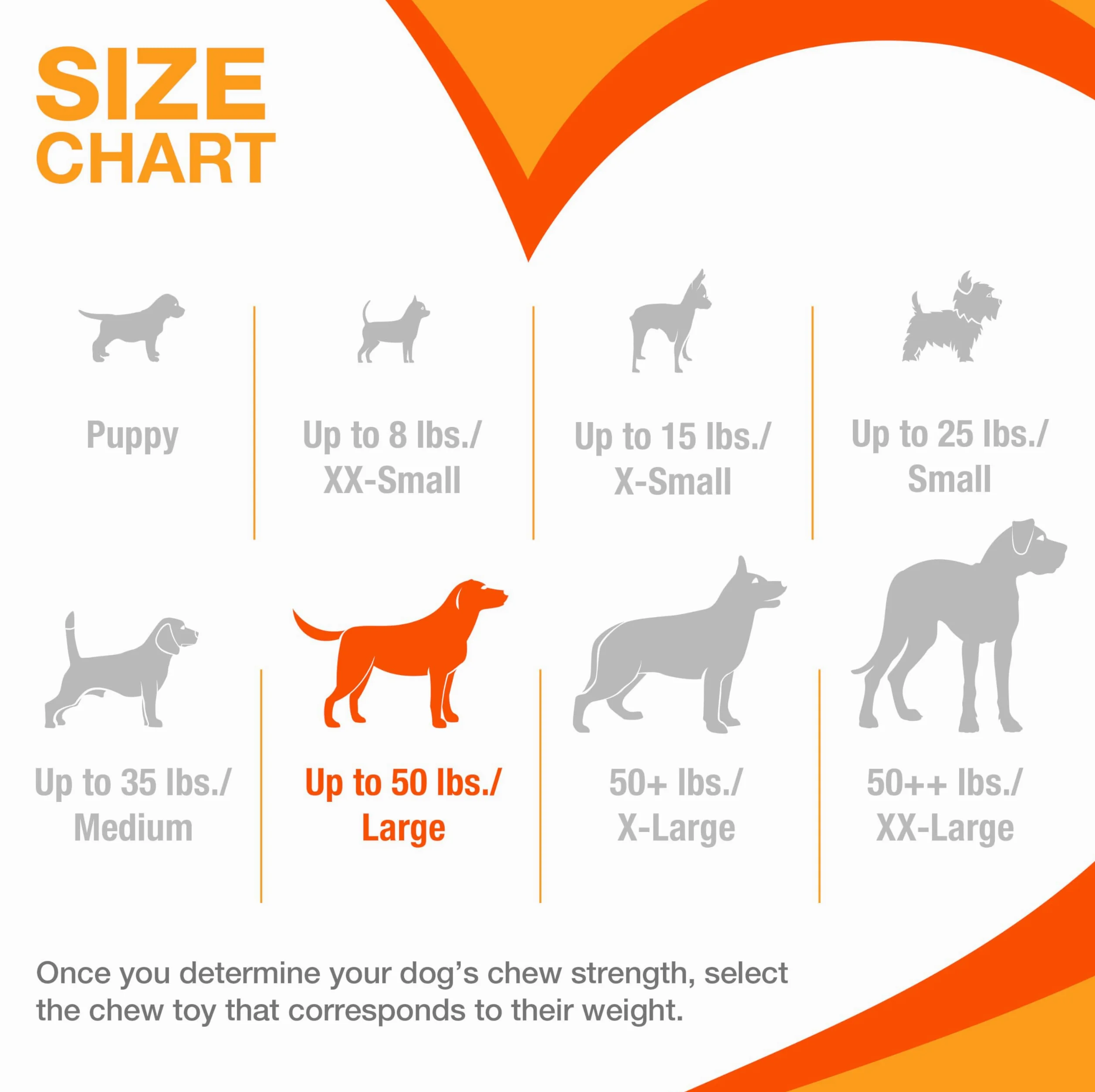 Nylabone Power Chew - Paquete de Juguetes para Perros Favoritos de los Clientes, Juguetes indestructibles para masticadores agresivos, 3 Formas y sabores, Mezcla de sabores, Grande/Gigante (3